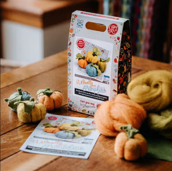 The Crafty Kit Company: Needle Felting Craft Kits