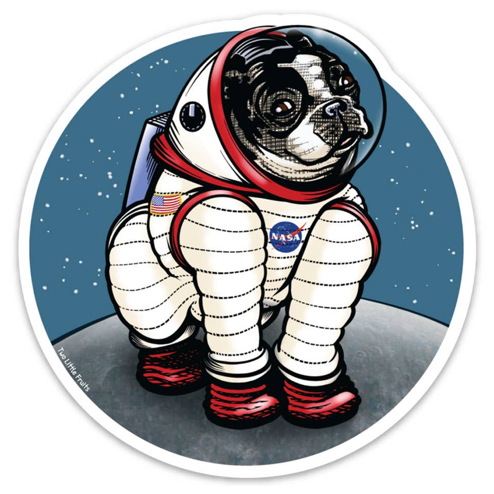 Two Little Fruits - Stickers | Astronaut Dog Stickers | Vinyl Sticker | Gifts