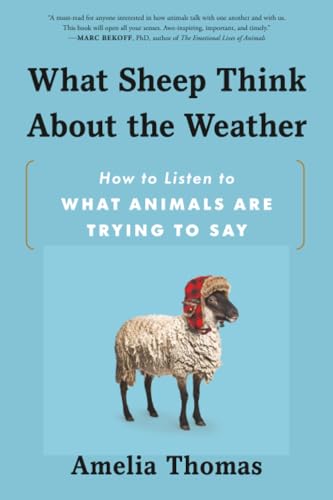 What Sheep Think About the Weather: How to Listen to What Animals Are Trying to Say