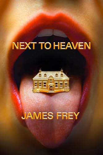 Next To Heaven: A Novel