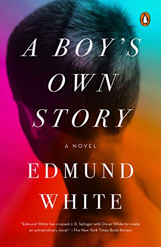 A Boy's Own Story: A Novel