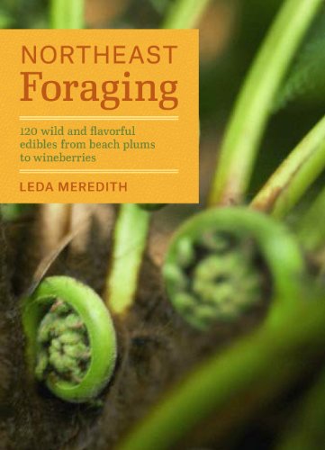 Northeast Foraging: 120 wild and flavorful edibles from beach plums to wineberries