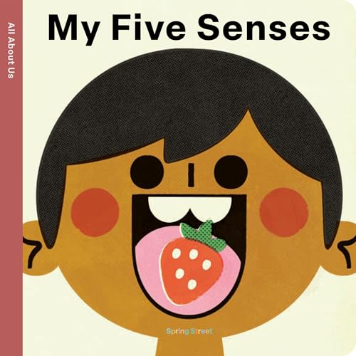 Spring Street All About Us: My Five Senses