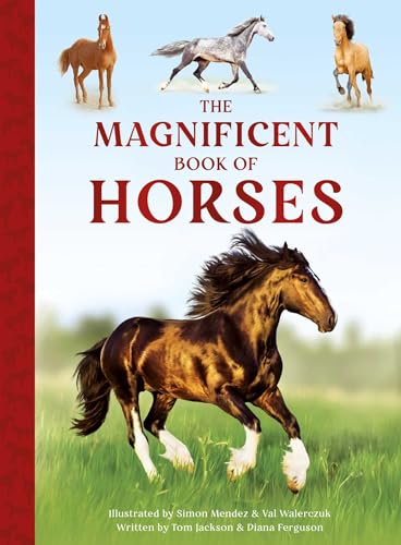 The Magnificent Book of Horses