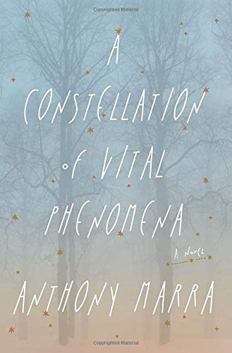 A Constellation of Vital Phenomena: A Novel