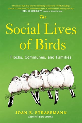 The Social Lives of Birds: Flocks, Communes, and Families