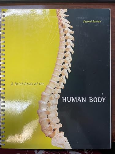 Brief Atlas of the Human Body, A