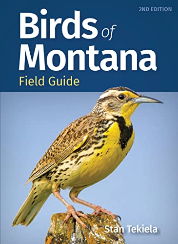 Birds of Montana Field Guide (Bird Identification Guides)