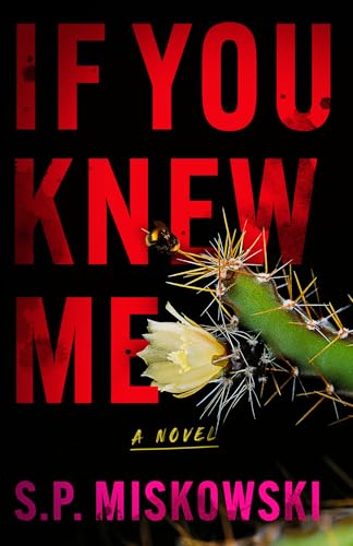 If You Knew Me: A Novel