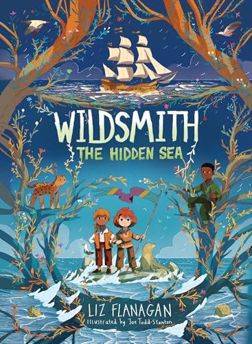 The Hidden Sea (Wildsmith)