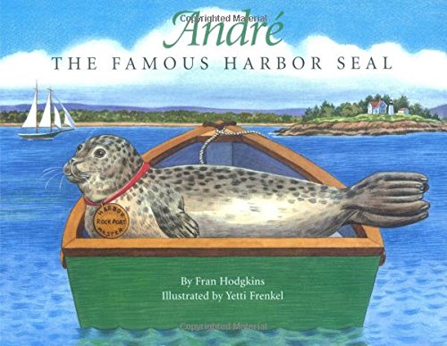 Andre the Famous Harbor Seal