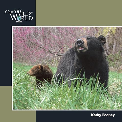 Black Bear (Our Wild World)