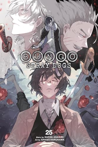 Bungo Stray Dogs, Vol. 25 (Volume 25) (Bungo Stray Dogs, 25)