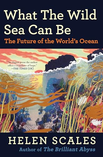 What the Wild Sea Can Be: The Future of the World’s Ocean