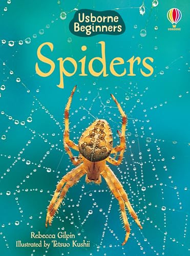 Spiders (Beginners)