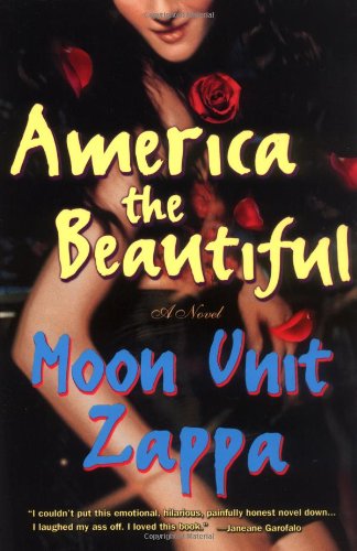 America the Beautiful: A Novel