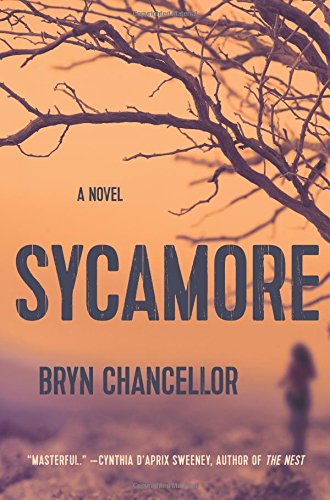 Sycamore: A Novel