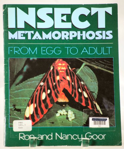 Insect metamorphosis: From egg to adult