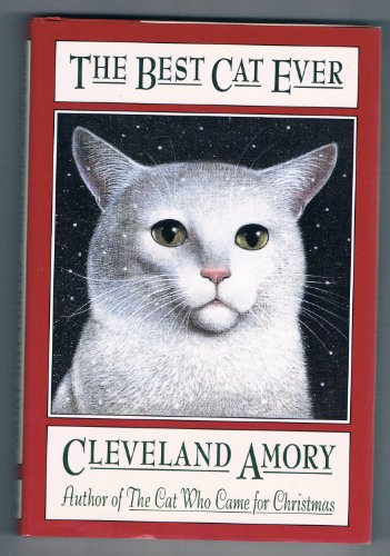 The Best Cat Ever