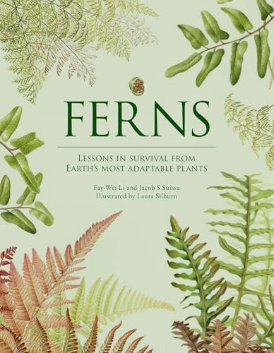 Ferns: Lessons in Survival From Earth’s Most Adaptable Plants
