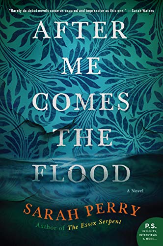 After Me Comes the Flood: A Novel