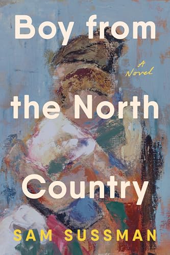 Boy from the North Country: A Novel