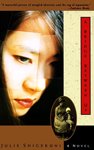 A Bridge Between Us: A Novel