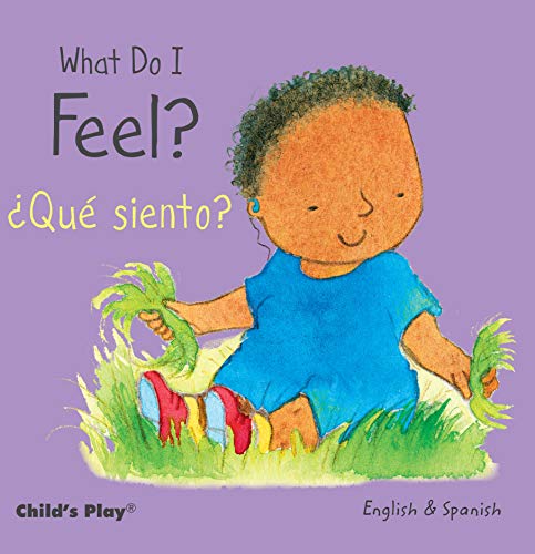 What Do I Feel? / Que Siento? (Small Senses Bilingual) (English and Spanish Edition)
