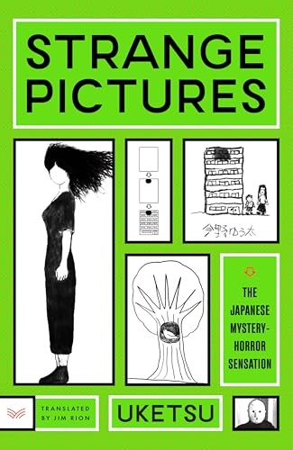 Strange Pictures: A Novel