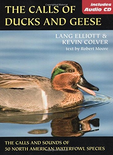 The Calls of Duck and Geese