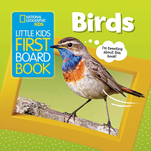 Little Kids First Board Book: Birds (First Board Books)