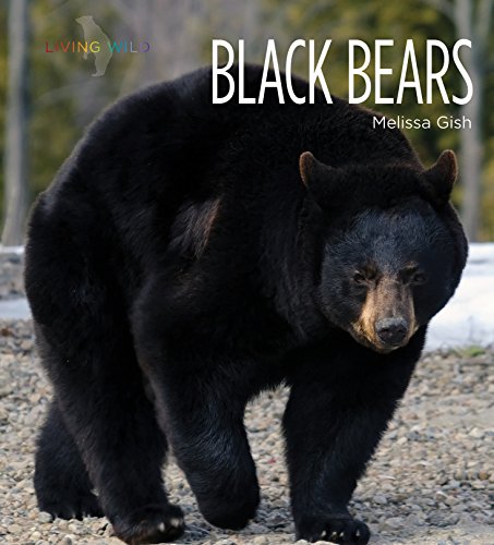 Black Bears (Living Wild)