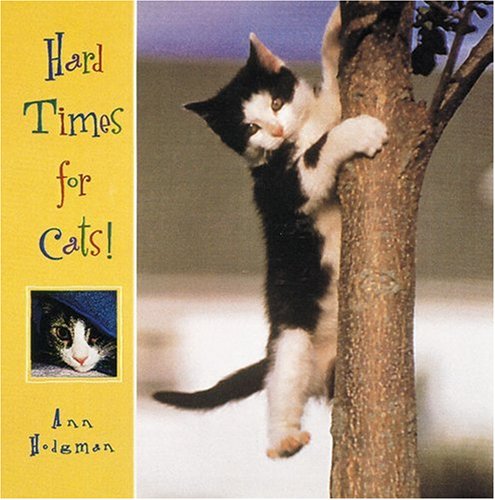 Hard Times for Cats