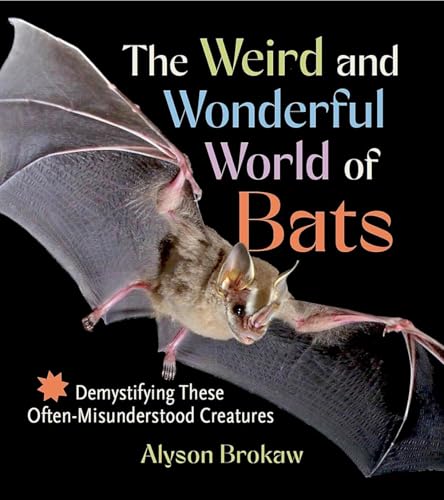 The Weird and Wonderful World of Bats: Demystifying These Often-Misunderstood Creatures