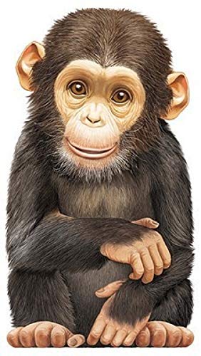 Little Chimp (Mini Look at Me Books)