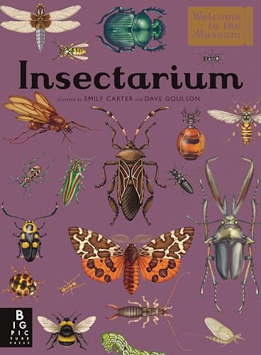 Insectarium: Welcome to the Museum