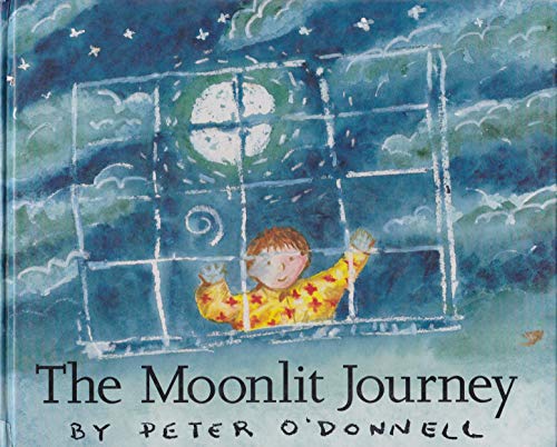 The Moonlit Journey