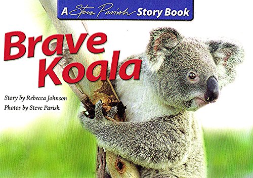 Brave Koala