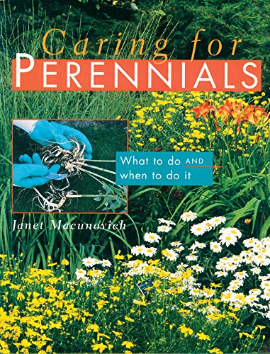 Caring for Perennials: What to Do and When to Do it