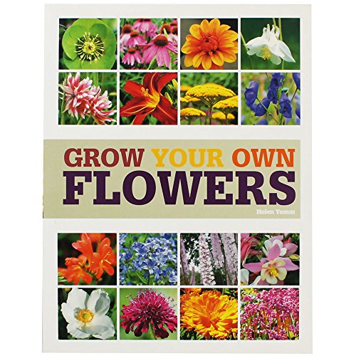 Grow Your Own Flowers