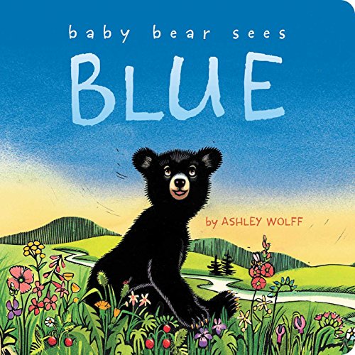 Baby Bear Sees Blue (Classic Board Books)