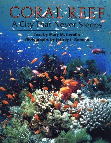 Coral Reef: A City that Never Sleeps