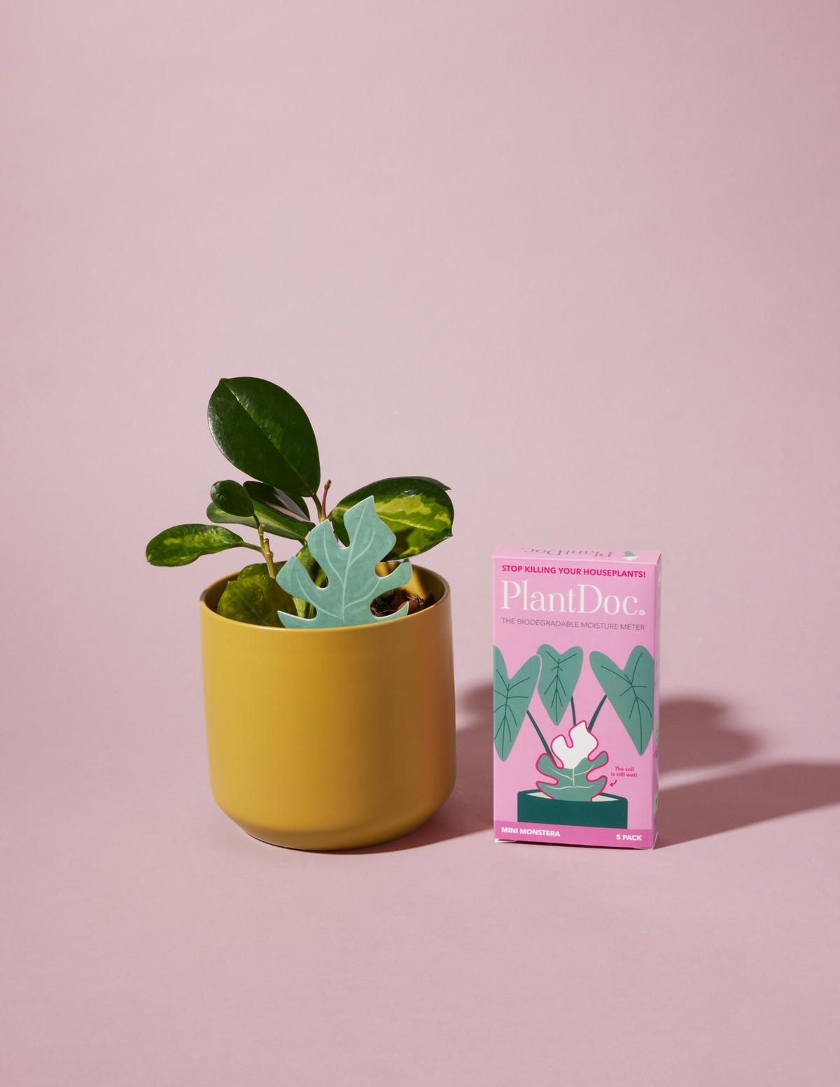 Daphne's Botanicals: Mini Monstera PlantDoc: Color-Change Plant Moisture Meter