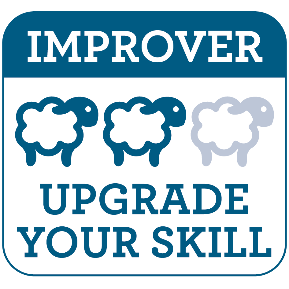 The Crafty Kit Company: Sea Horse Needle Felt Craft Kit