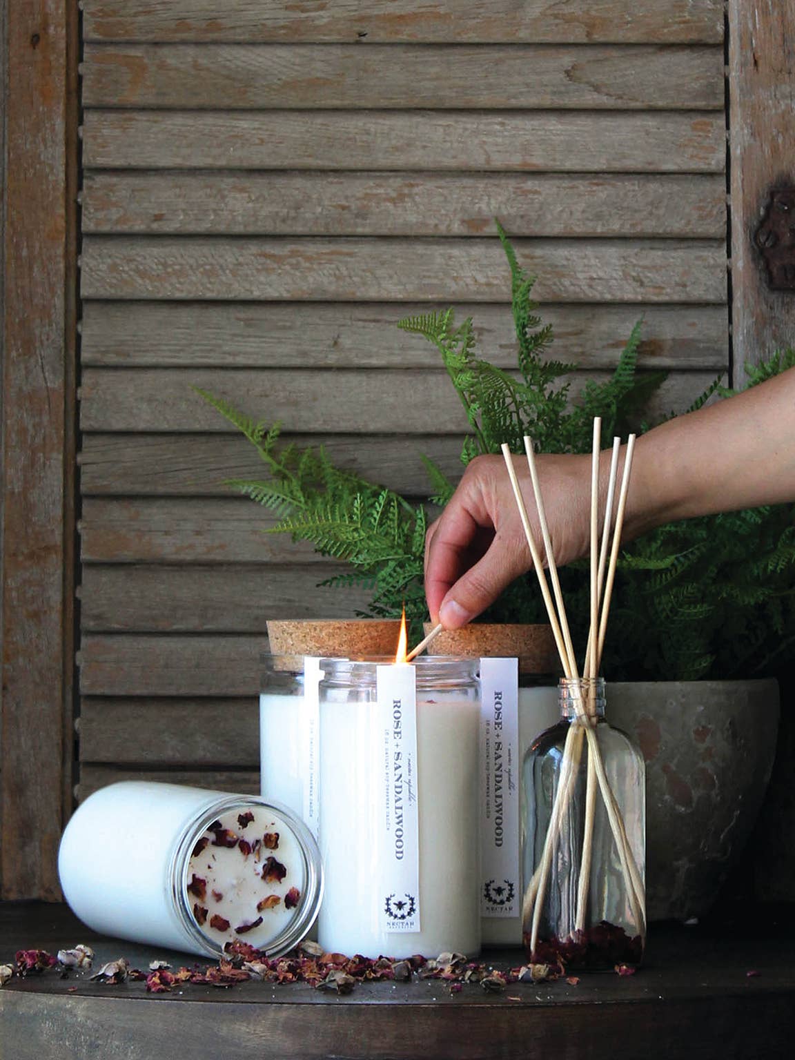 Nectar Republic: Milk + Honey : Apothecary Candle (Comforting)