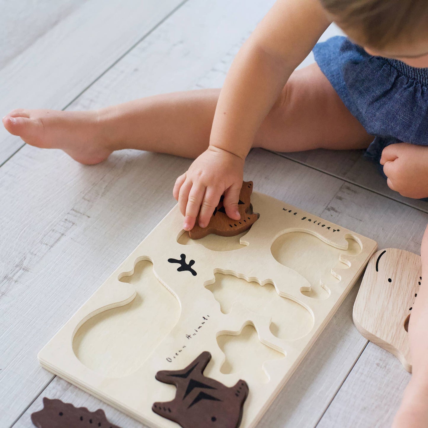 Wee Gallery: Wooden Tray Puzzle - Ocean Animals (2nd Edition)