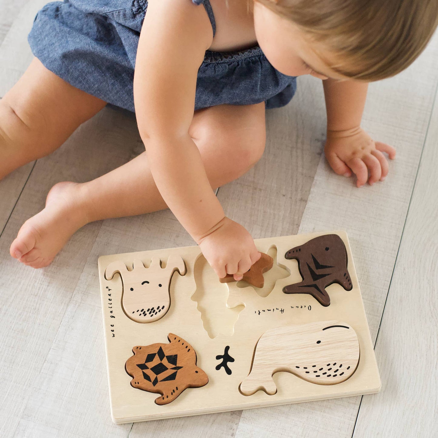 Wee Gallery: Wooden Tray Puzzle - Ocean Animals (2nd Edition)