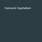 Carceral Capitalism (Semiotext(e) / Intervention Series)