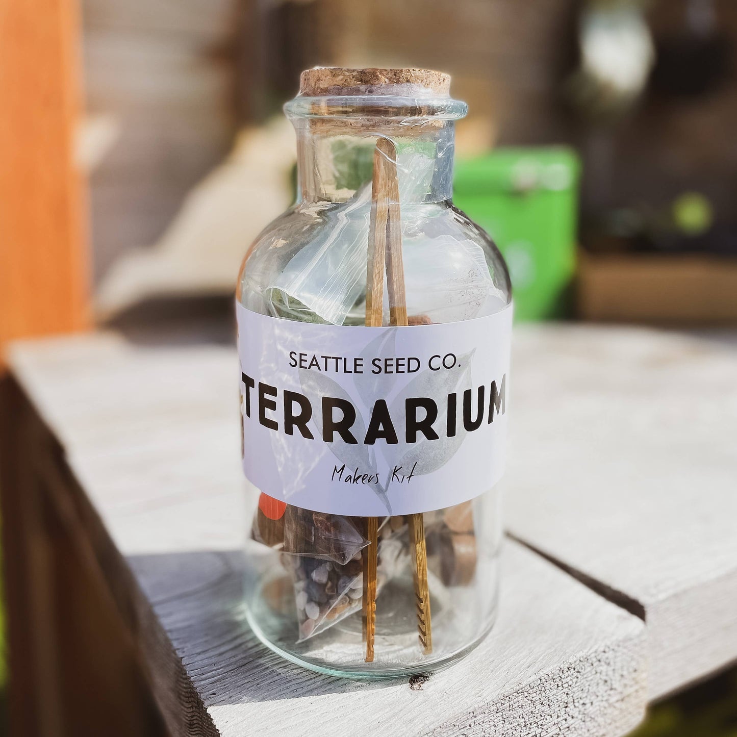 Seattle Seed Co.: DIY Terrarium Kit