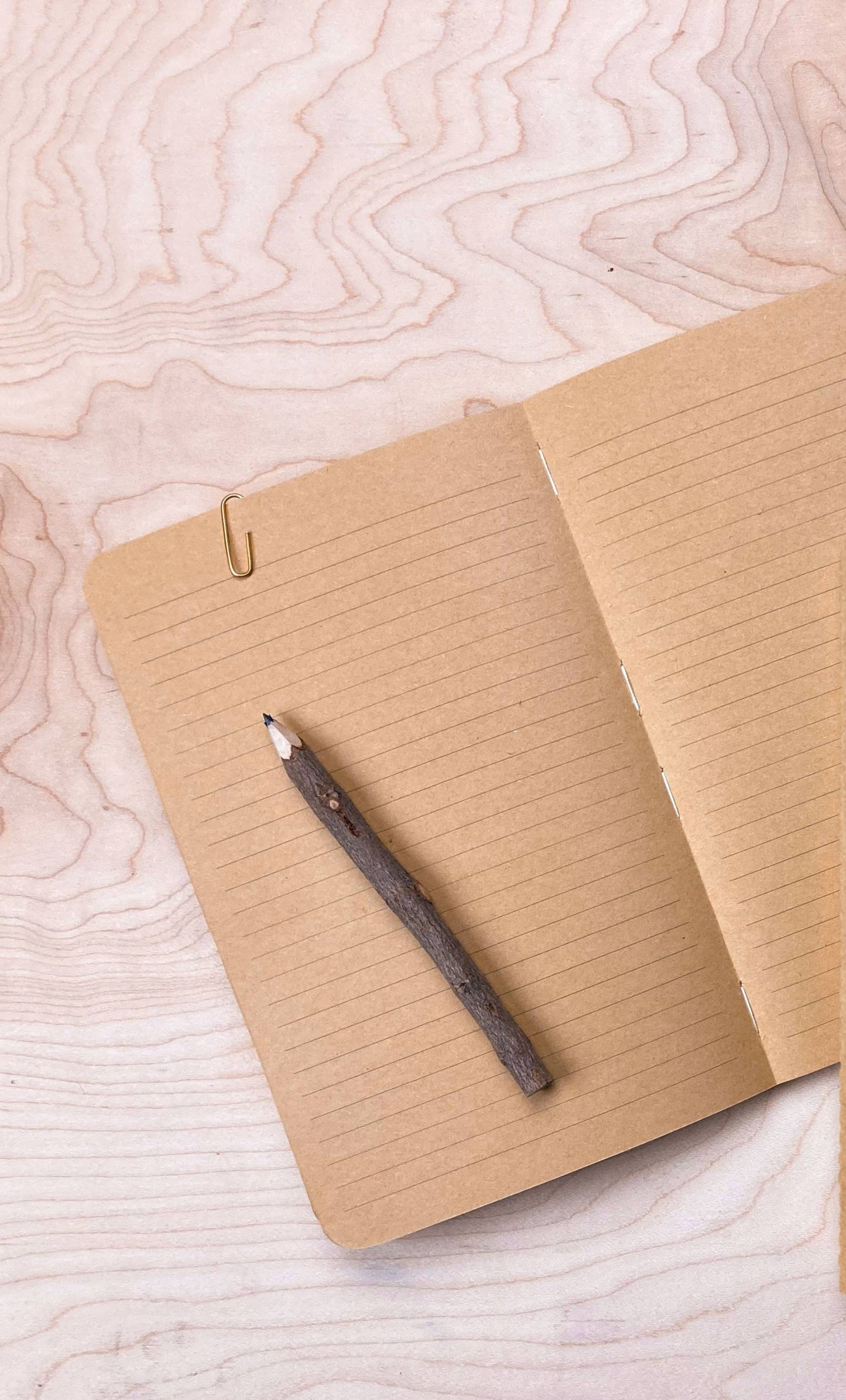 Denik: Desert Bloom Kraft Layflat Notebook